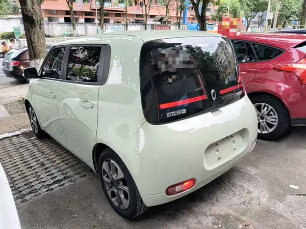Ora White Cat 2021