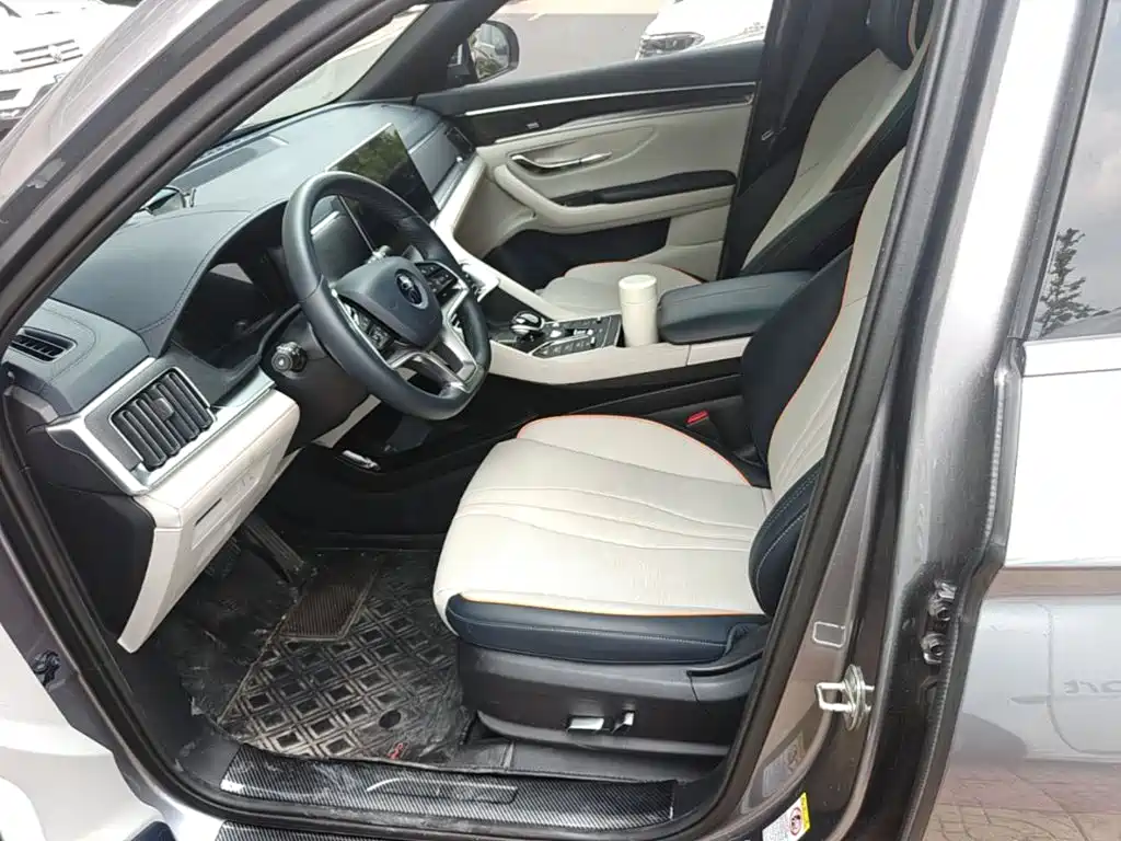 BYD PLUS New Energy 2022 — фото 15