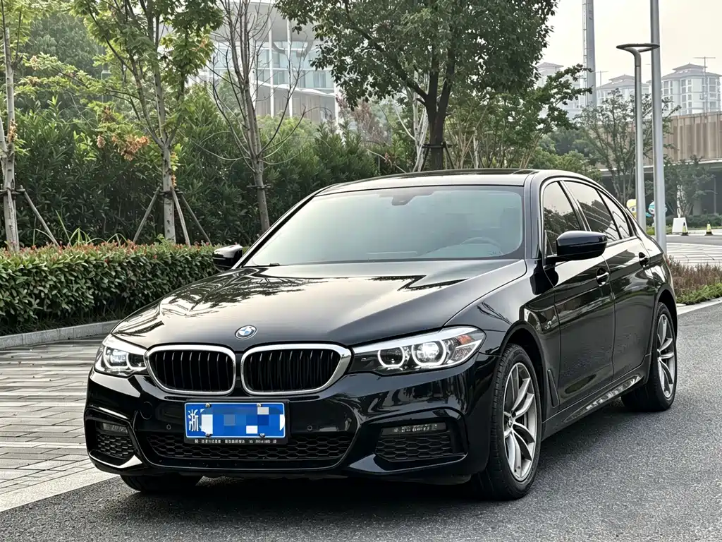BMW 5 Series 2019