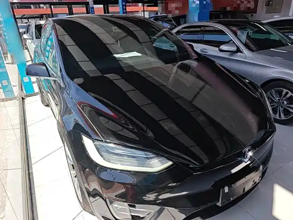 Tesla Model X 2019