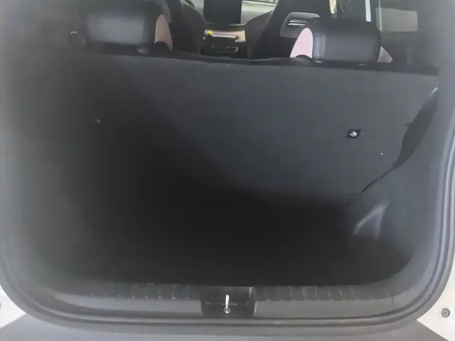 BYD Seagull 2024