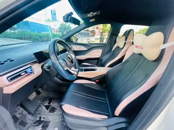 BYD Seagull 2024