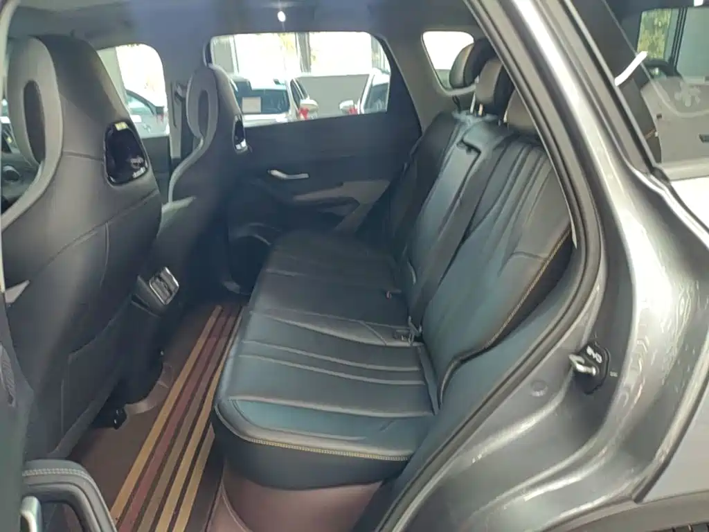 BYD Sealion 05 DM-i 2025 — фото 17