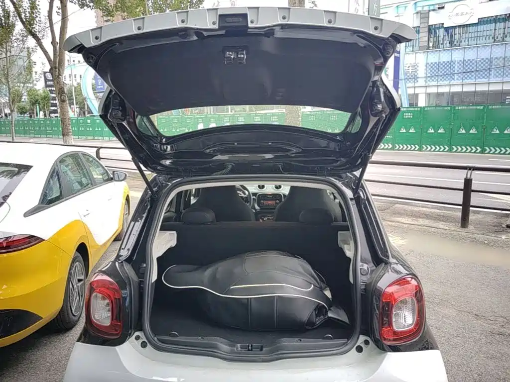 smart forfour 2019 — фото 19