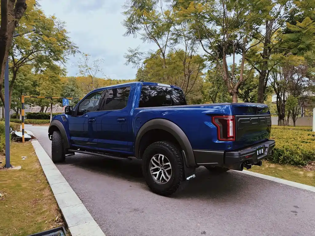 Ford F-150 Raptor 2019 — фото 6
