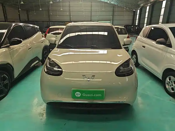 Wuling Bingo 2024