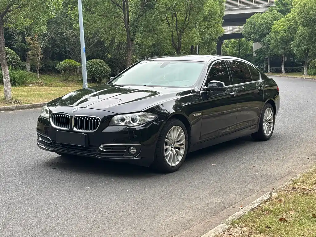 BMW 5 Series 2014 — фото 1