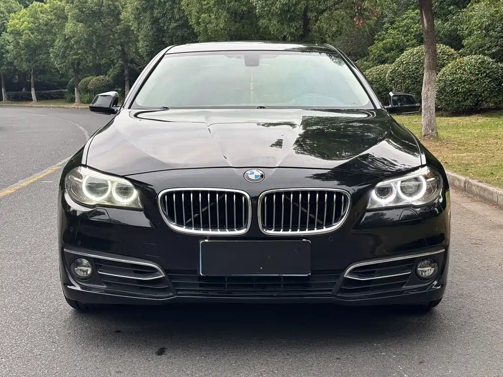 BMW 5 Series 2014 — фото 2