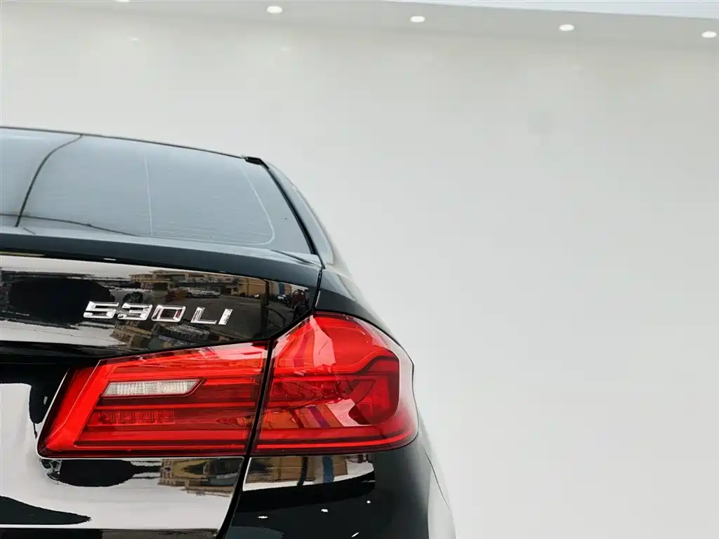 BMW 5 Series 2018 — фото 11