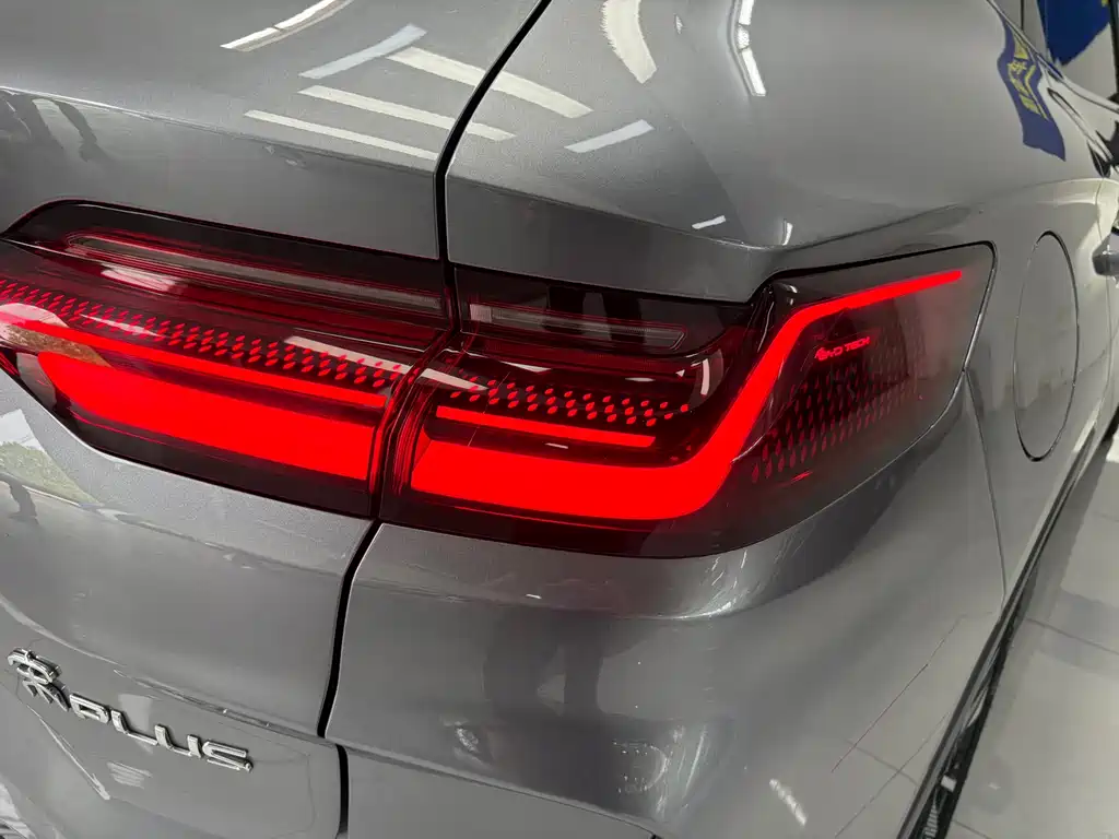 BYD PLUS New Energy 2024 — фото 19