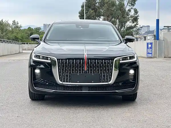 Hongqi H9 2020