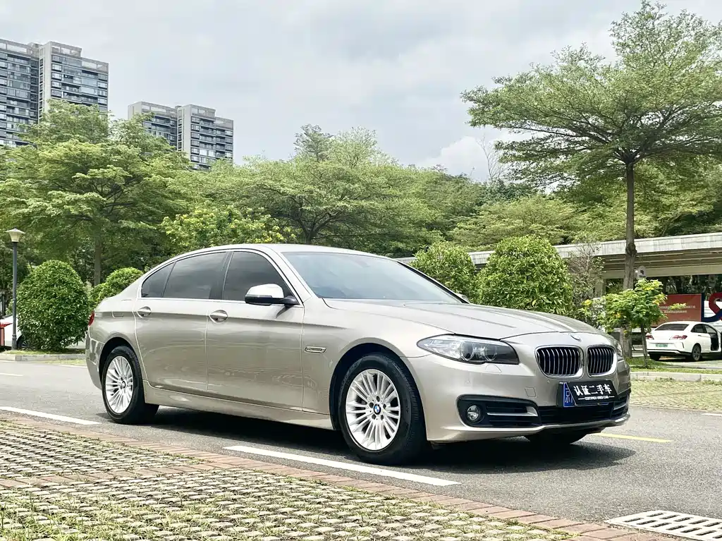 BMW 5 Series 2014 — фото 3
