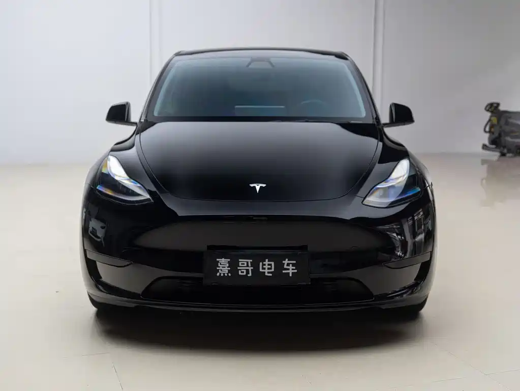 Tesla Model Y 2022 — фото 2
