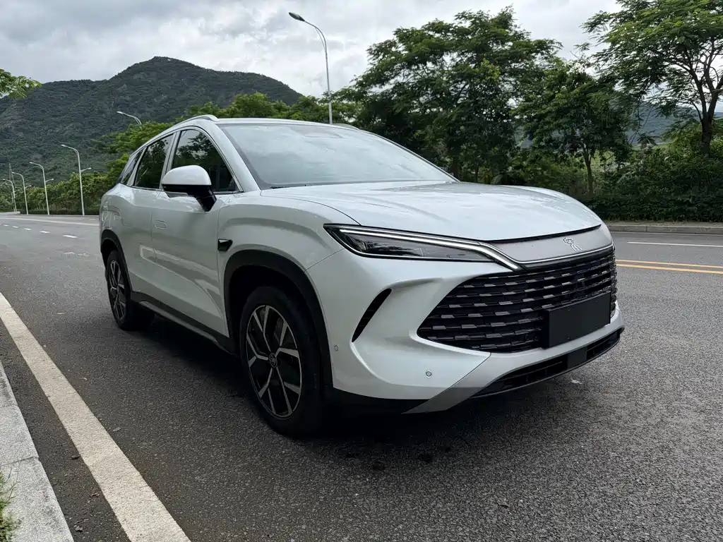 BYD L DM-i 2026 — фото 3