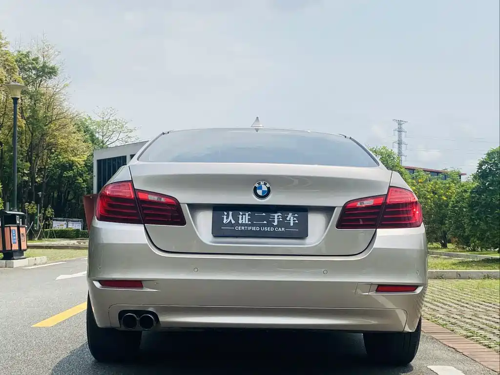 BMW 5 Series 2014 — фото 6