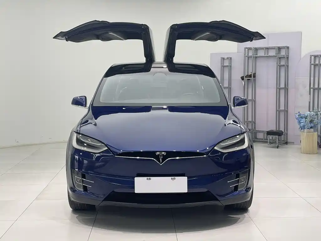 Tesla Model X 2018 — фото 3