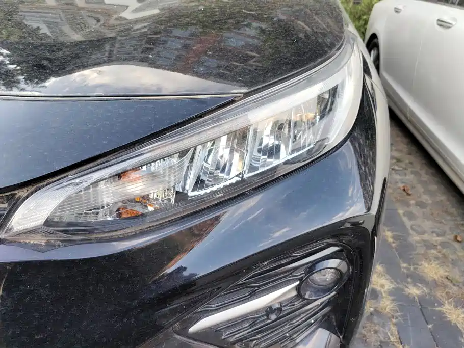 Toyota Wildlander 2022