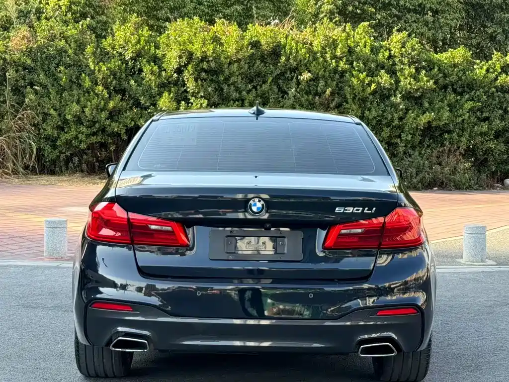 BMW 5 Series 2018 — фото 9