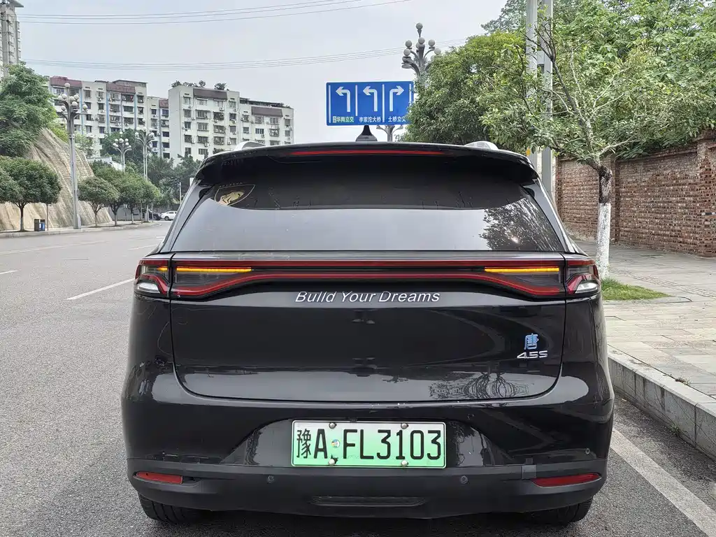 BYD Tang New Energy 2018 — фото 12