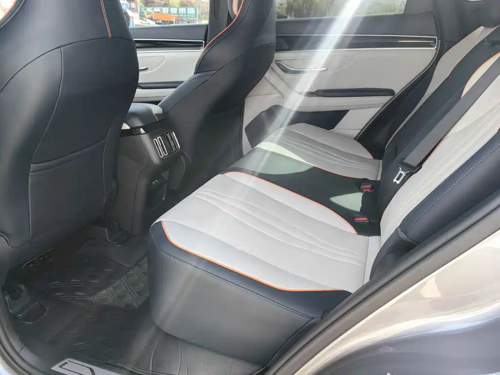BYD PLUS New Energy 2023 — фото 10