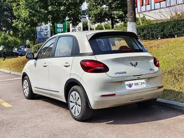 Wuling Bingo 2024