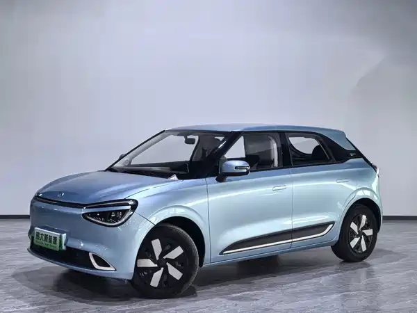 Dongfeng Nano 01 2024