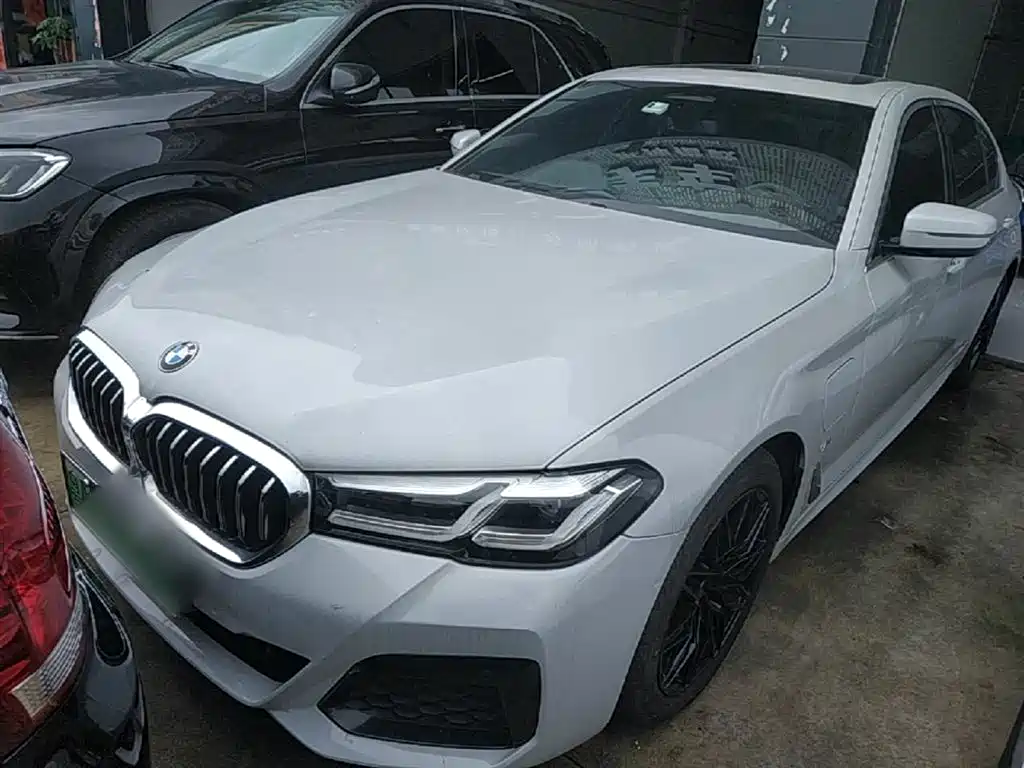 BMW 5 Series New Energy 2021 — фото 1