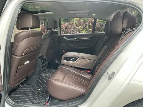 BMW 5 Series New Energy 2020