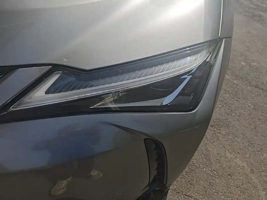 Lexus UX New Energy 2021
