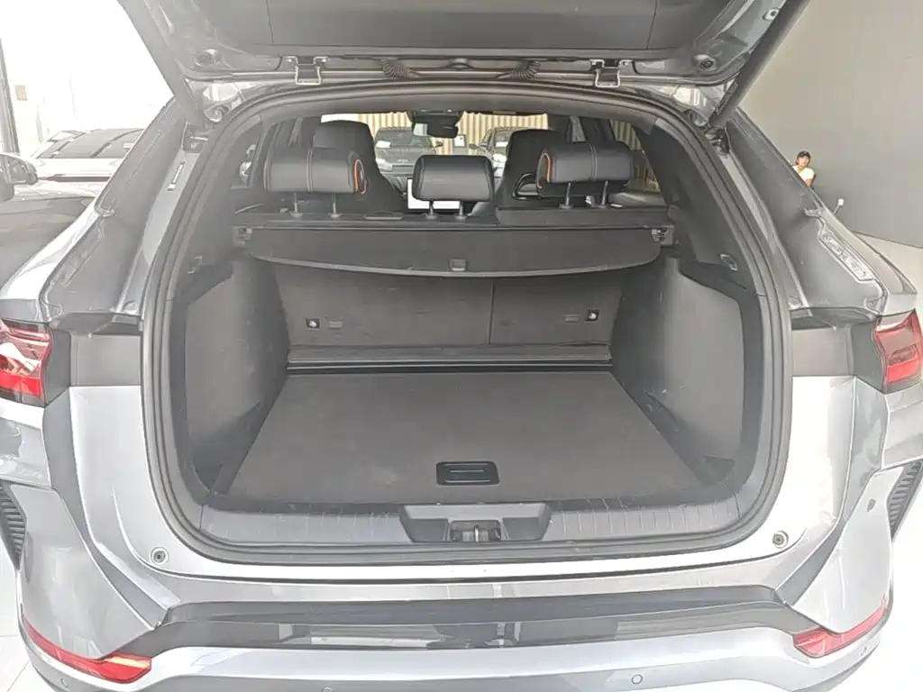 BYD PLUS New Energy 2023 — фото 19