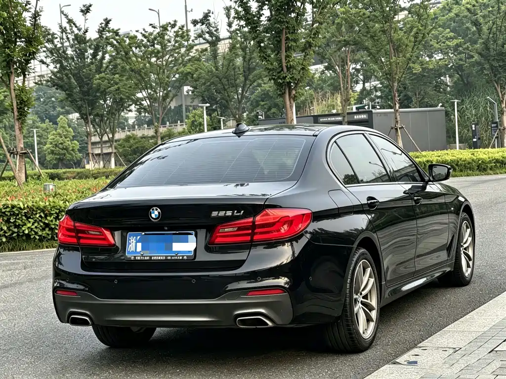 BMW 5 Series 2019 — фото 6