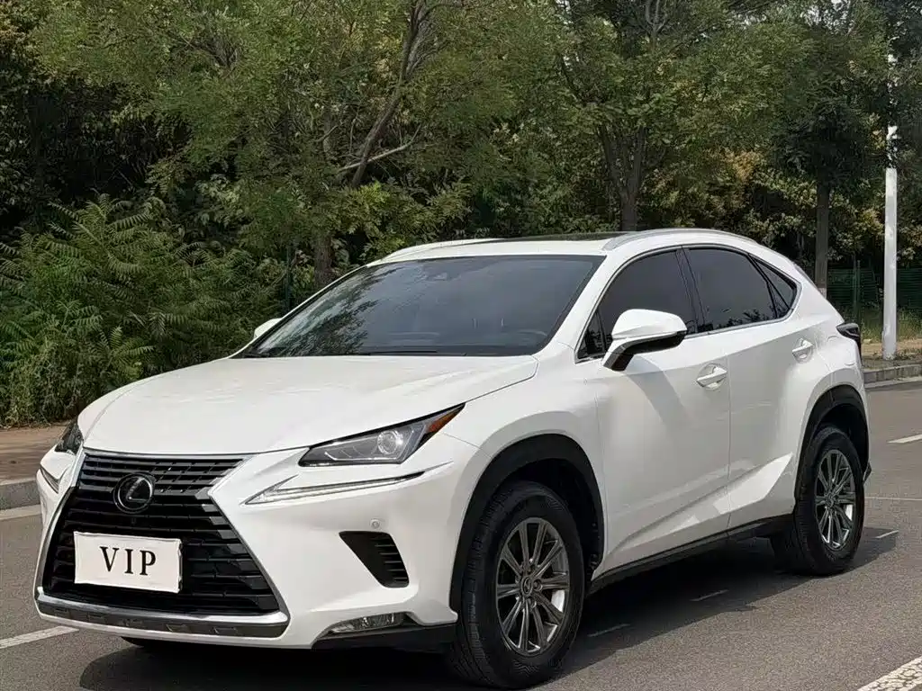 Lexus NX 2020 — фото 1