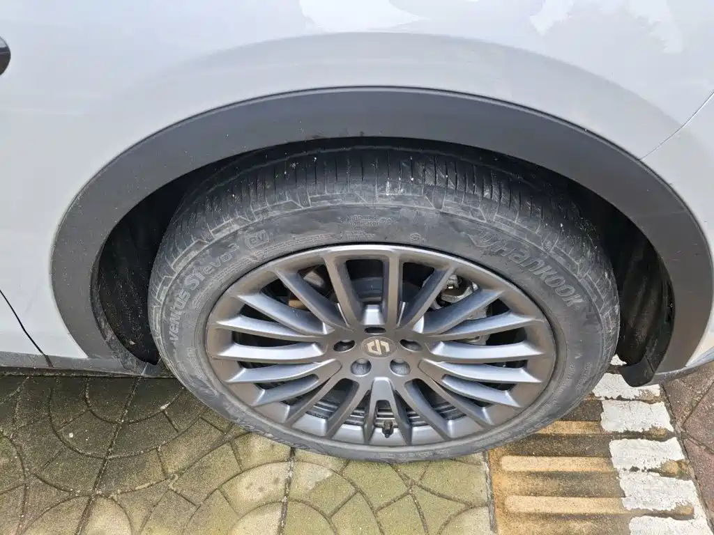 Leapmotor C11 2023 — фото 8