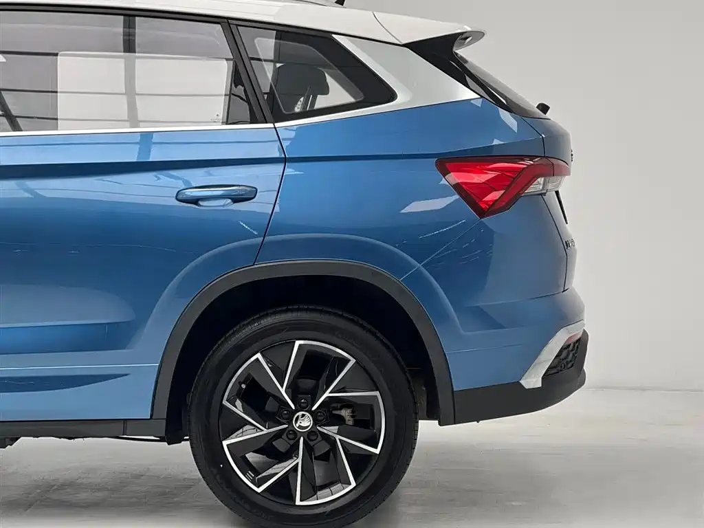 Skoda Kamiq 2020 — фото 11