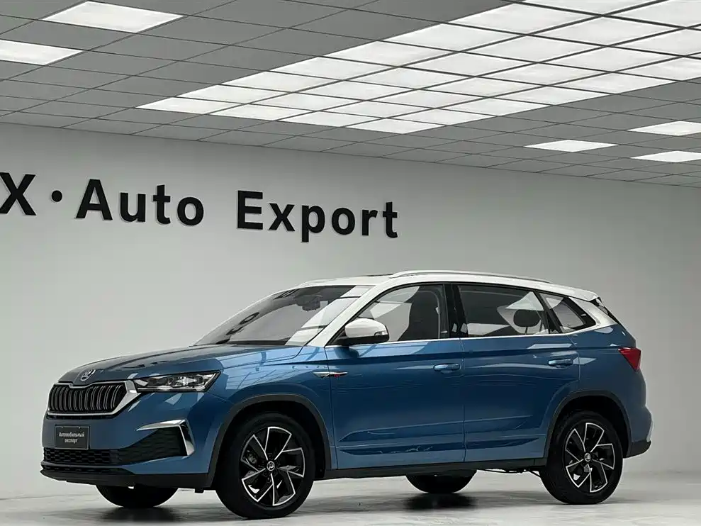 Skoda Kamiq 2020 — фото 6