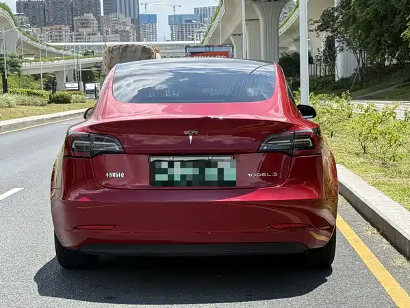 Tesla Model 3 2020