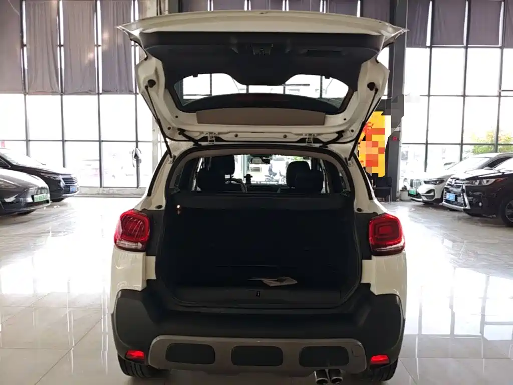 Citroen C4 Aircross 2019 — фото 19