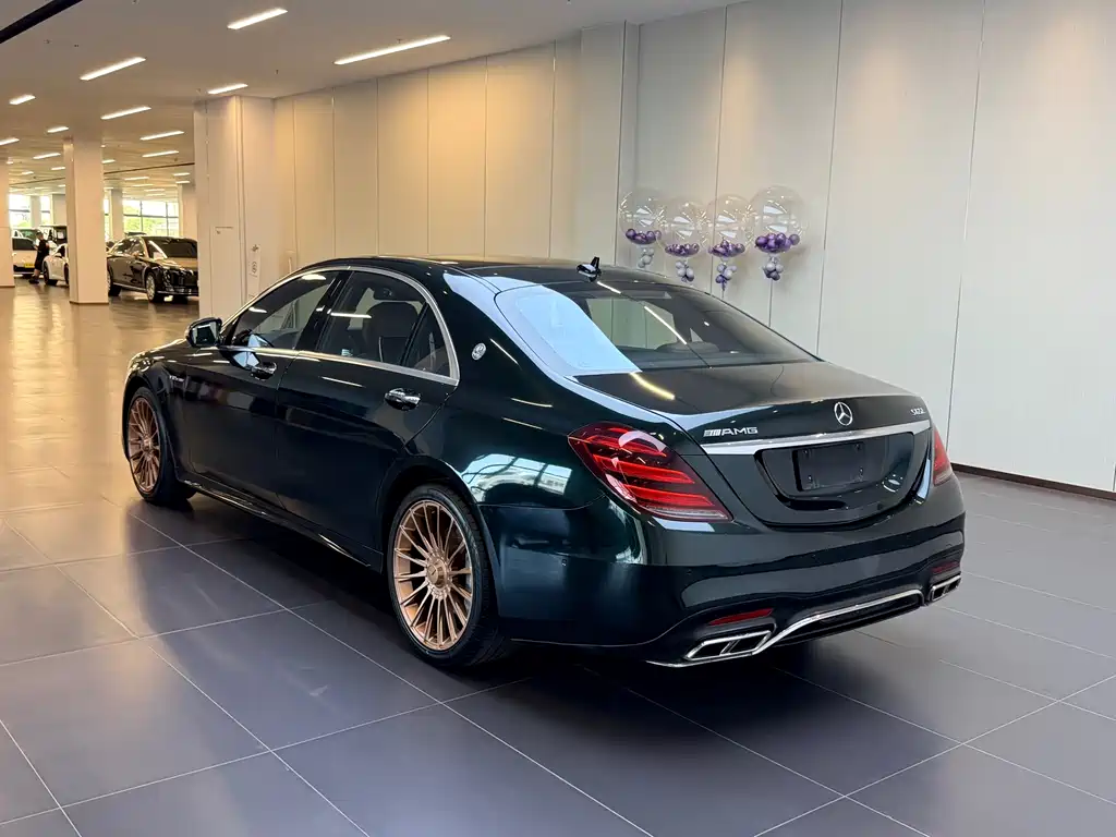 Mercedes-Benz S-Class 2016 — фото 4