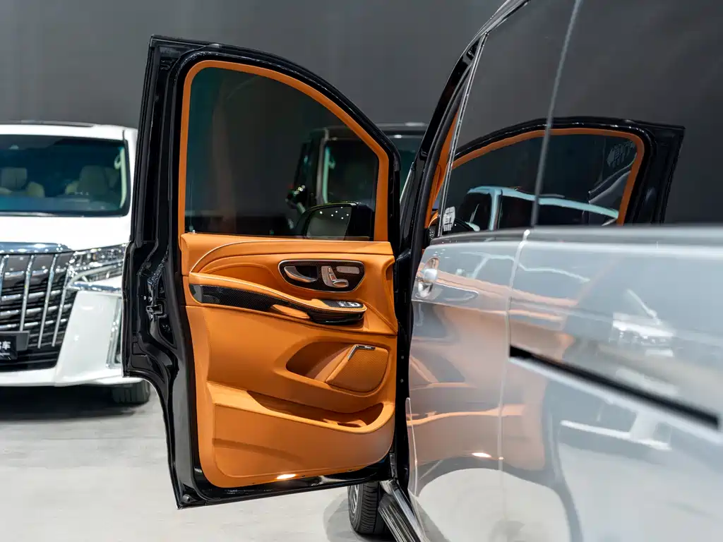Mansory V-Class 2022 — фото 14