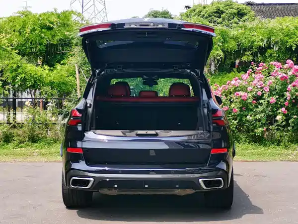 BMW X5 2024