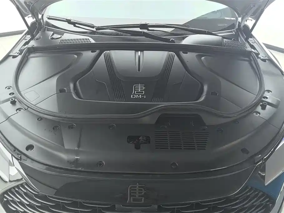 BYD Tang New Energy 2025 — фото 10