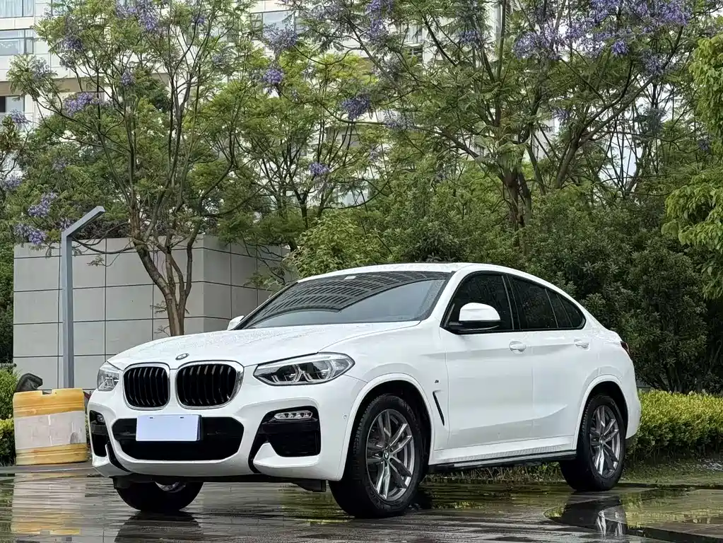 BMW X4 2019 — фото 1