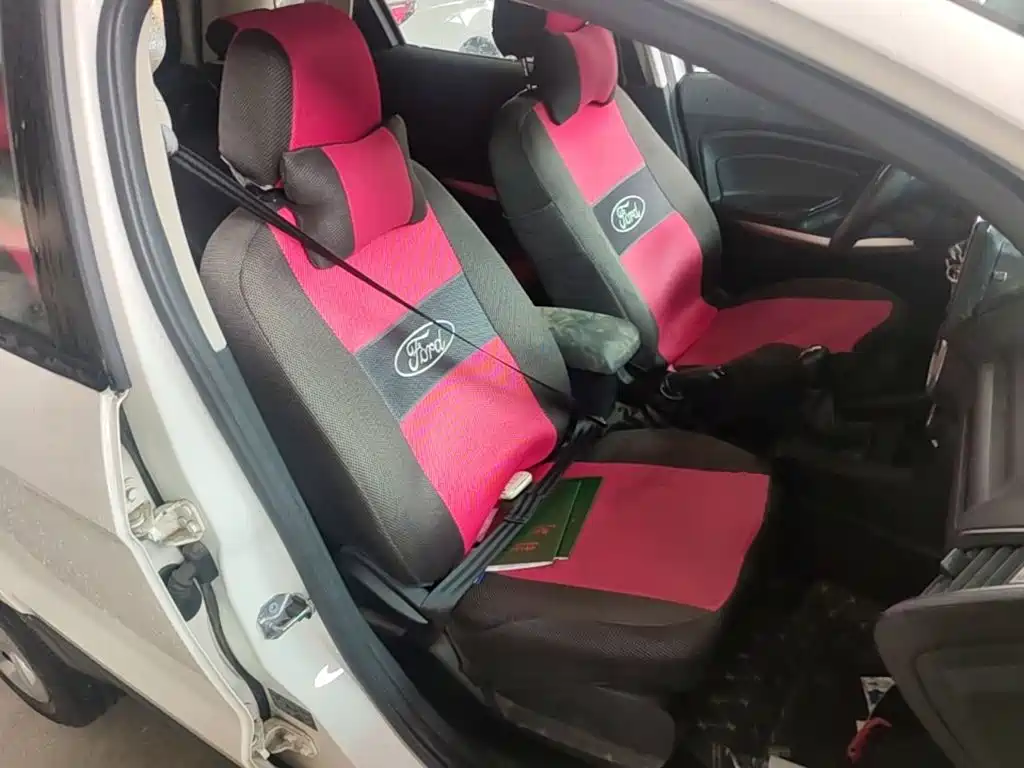 Ford EcoSport 2018 — фото 25