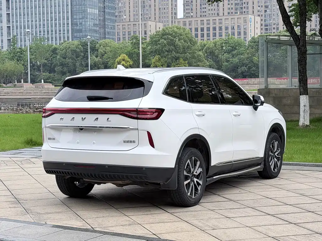 Haval H6 2021 — фото 16