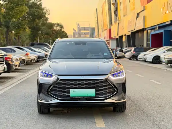 BYD Song PLUS New Energy 2021
