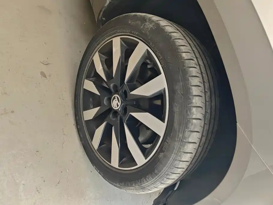 Skoda Korok 2018