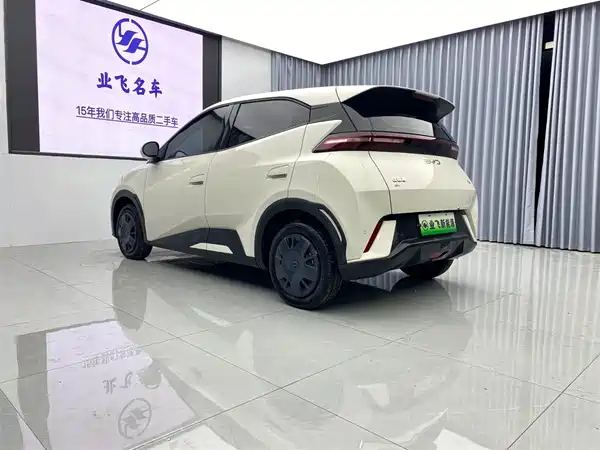 BYD Seagull 2025