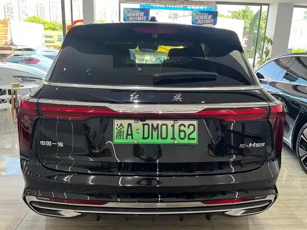Hongqi E-HS9 2021