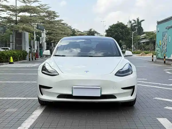 Tesla Model 3 2020