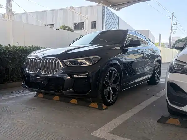 BMW X6 2021